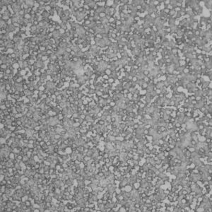 555 - CSTM BLADE - S90V